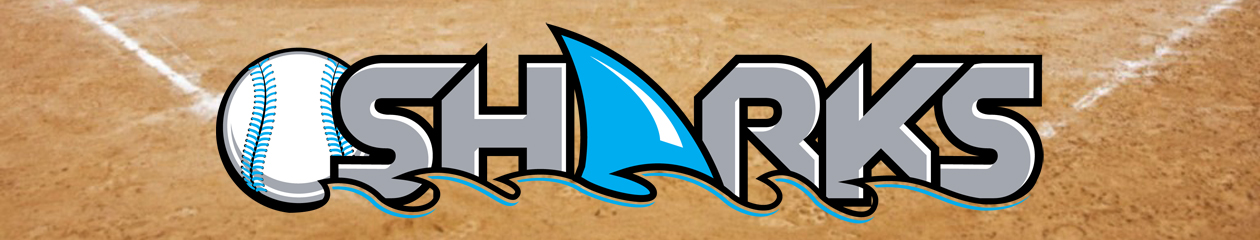 Palmetto Ball Sharks